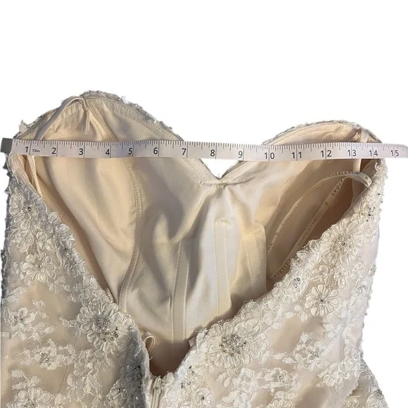 Elegant Lace Wedding Dress - Picture 15 of 16